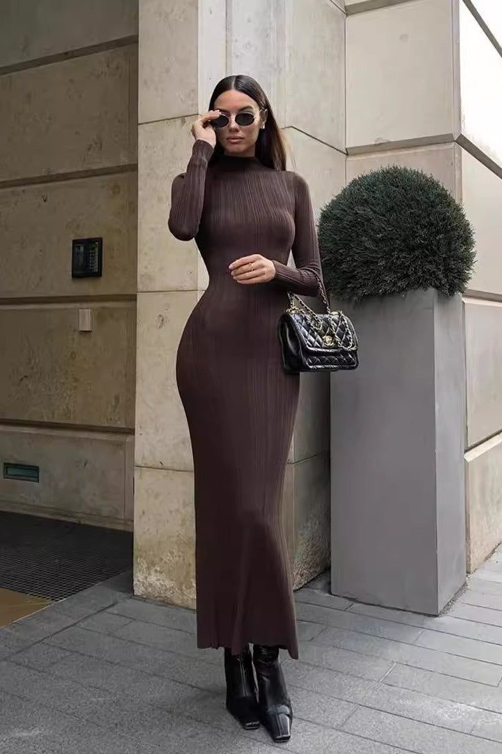 Turtleneck Striped Knit SlimFit Long Sleeve Sweater Dress