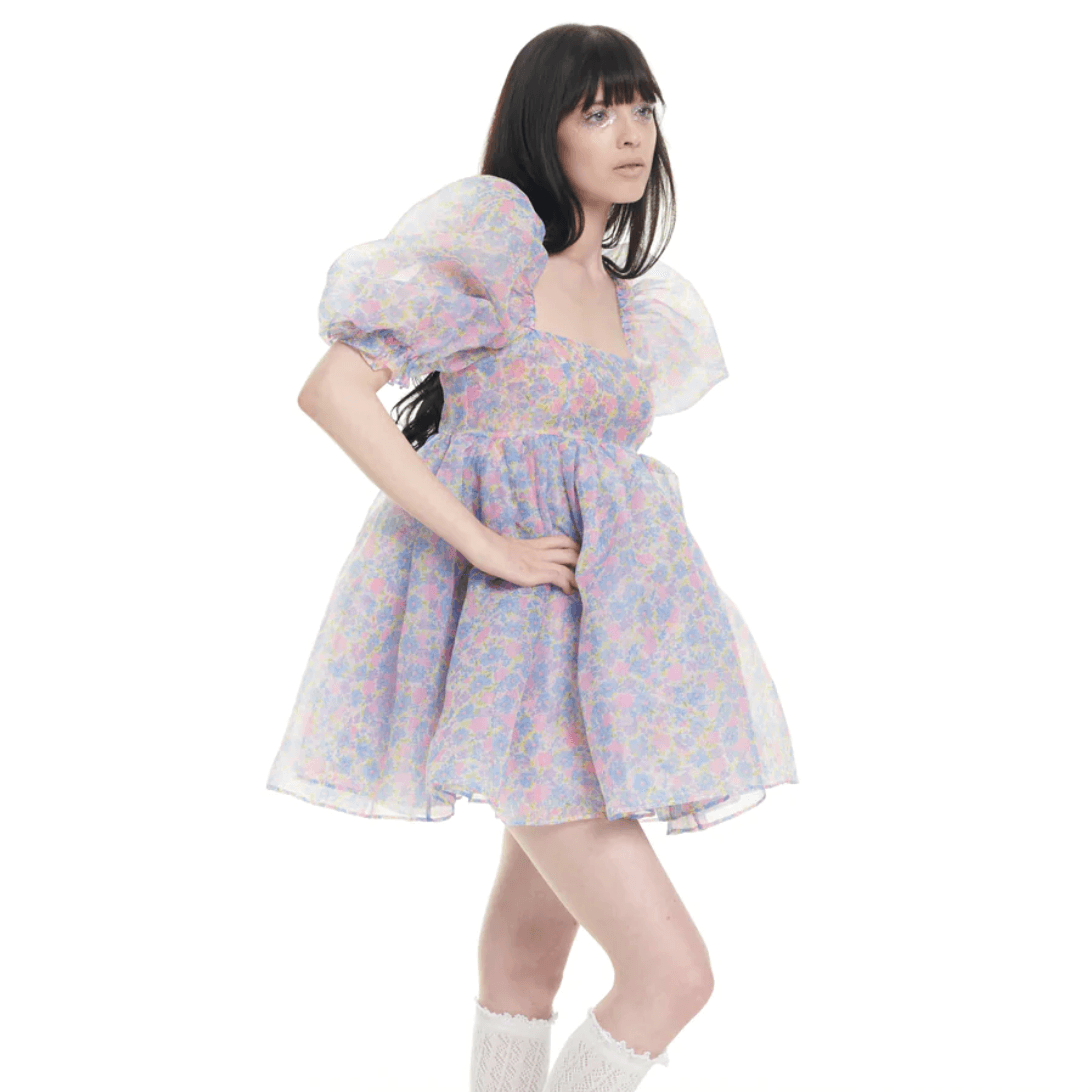 Blue Puff Sleeve Floral Organza Babydoll Mini Dress