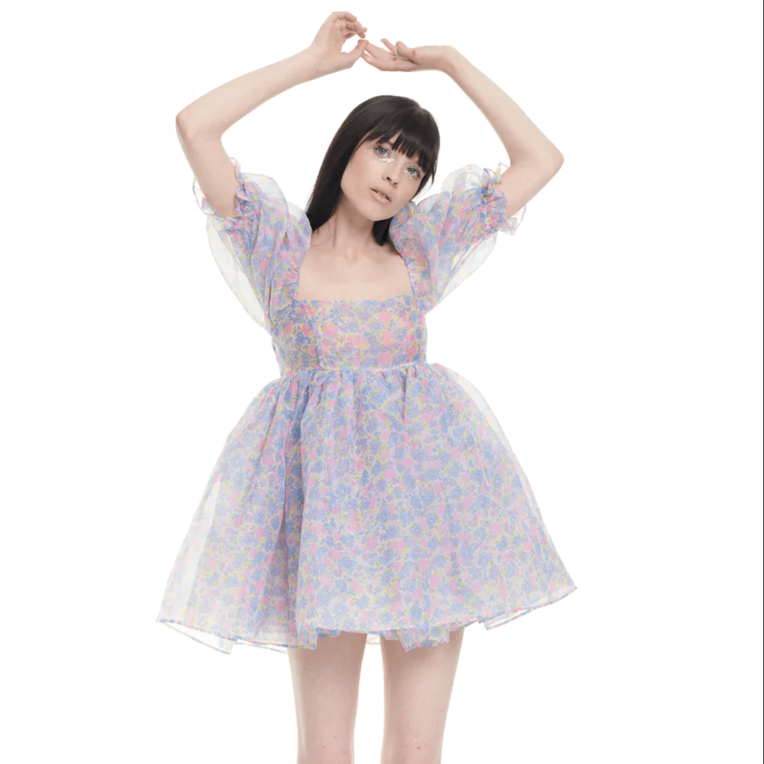 Blue Puff Sleeve Floral Organza Babydoll Mini Dress