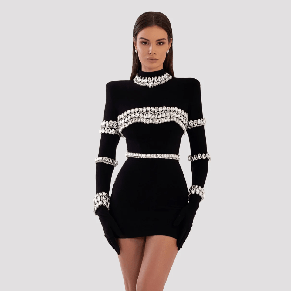 Black High Neck Long Sleeve Crystal Embellished Bodycon Mini Dress