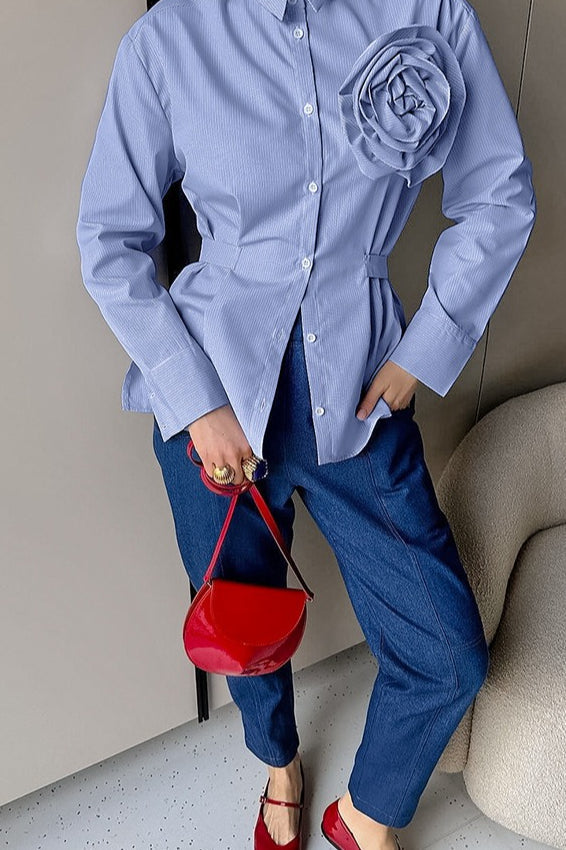 Slim Fit Long Sleeve Blouse