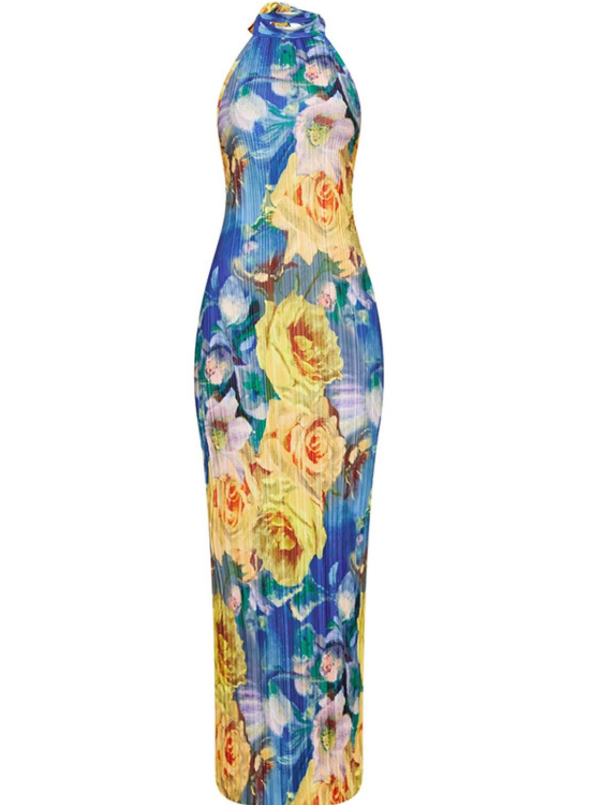 Halter Neck Floral Rose Print Backless Bodycon Maxi Dress
