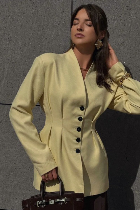 SingleBreasted VNeck Waist Defined Blazer