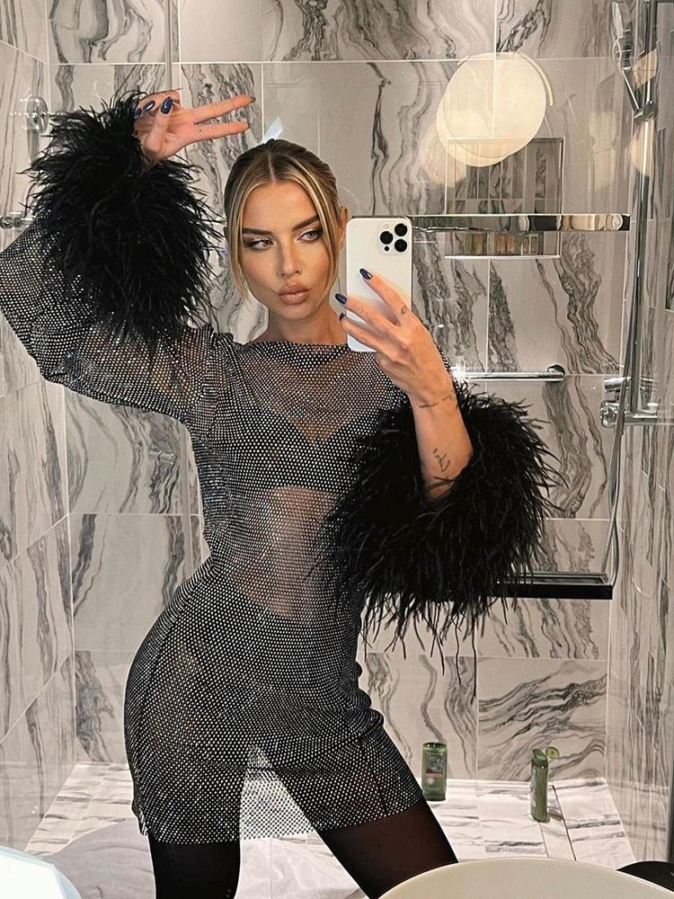Stella Elevated Feather Embellished Sheer Party Dress Evening Wear Edit