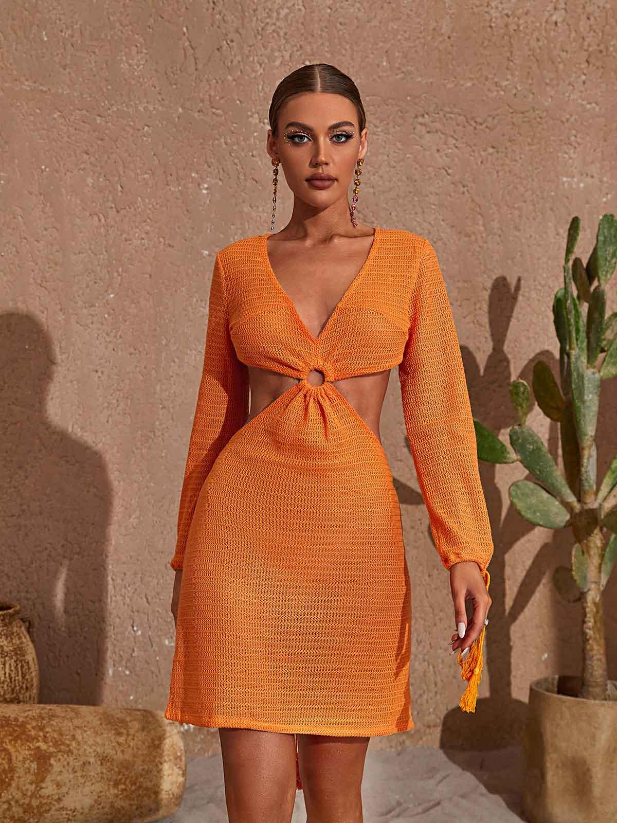 V-Neck Long Sleeve Knit O-Ring Cutout Tassel Bodycon Mini Dress