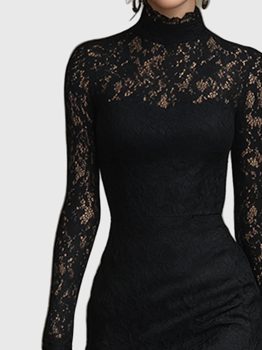 Black High Neck Long Sleeve Sheer Lace Mermaid Maxi Dress