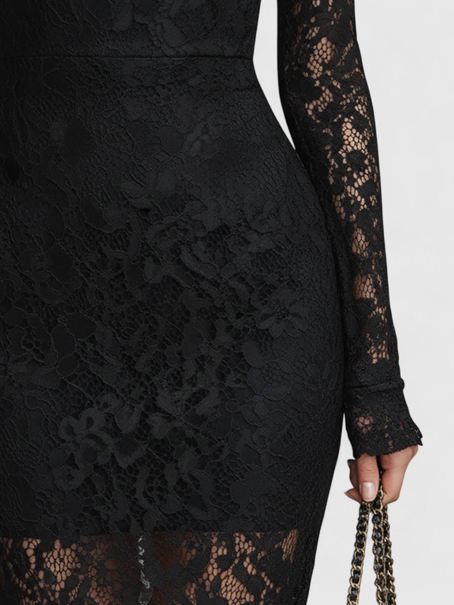 Black High Neck Lace Long Sleeve Sheer Fishtail Bodycon Maxi Dress