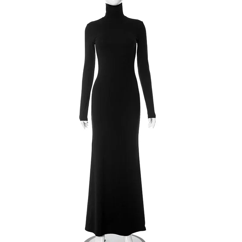 Turtleneck Sleeve Maxi Dress