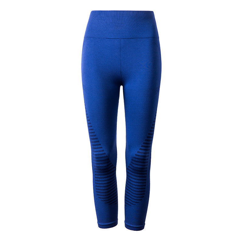 High Waist Seamless Leggings Navy / S/M