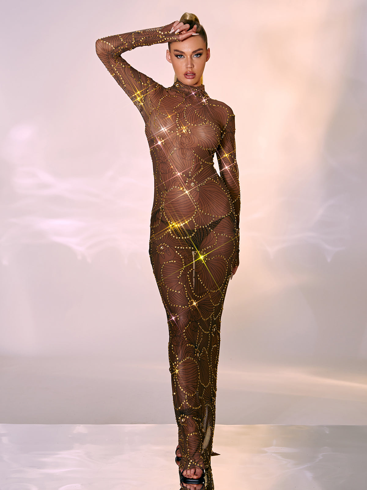 High Neck Long Sleeve Rhinestone Sheer Mesh Maxi Dress
