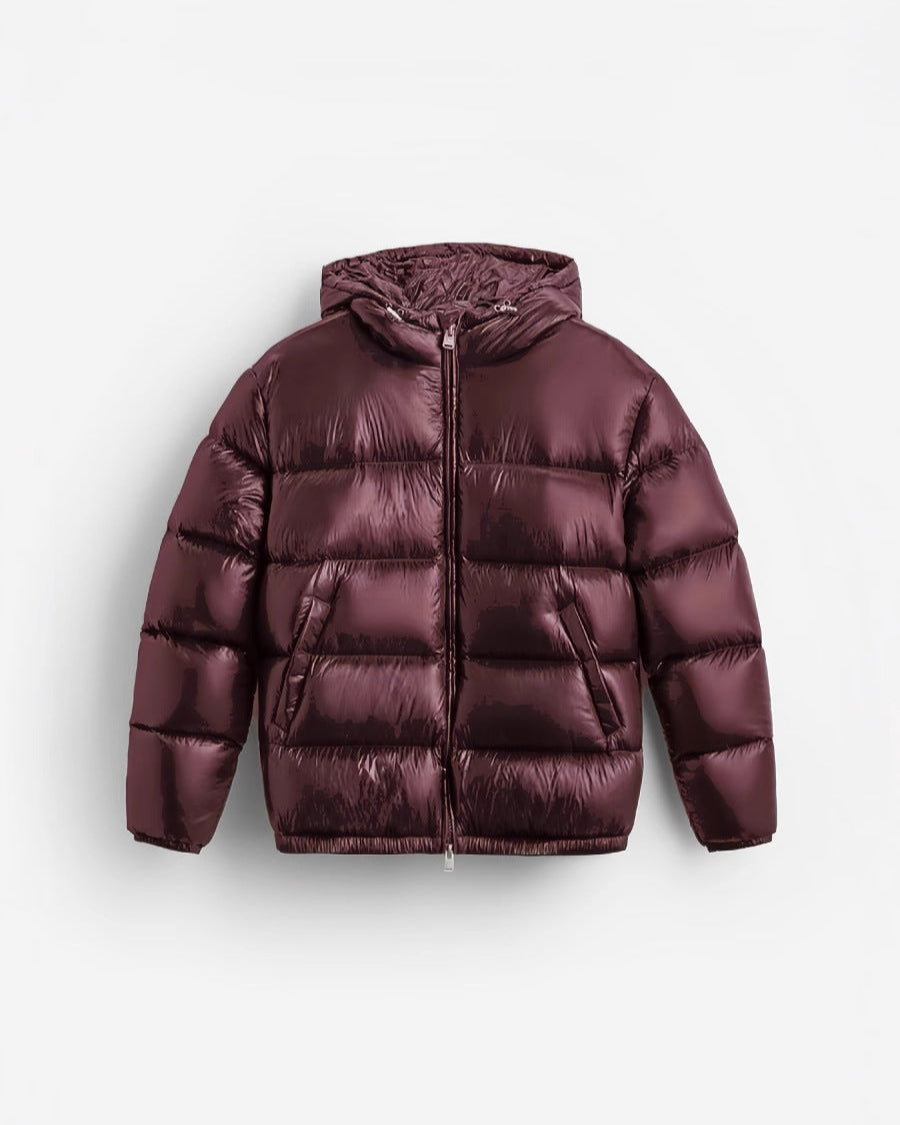 Hooded Glossy Quilted Zip-Up Long Sleeve Puffer Jacket