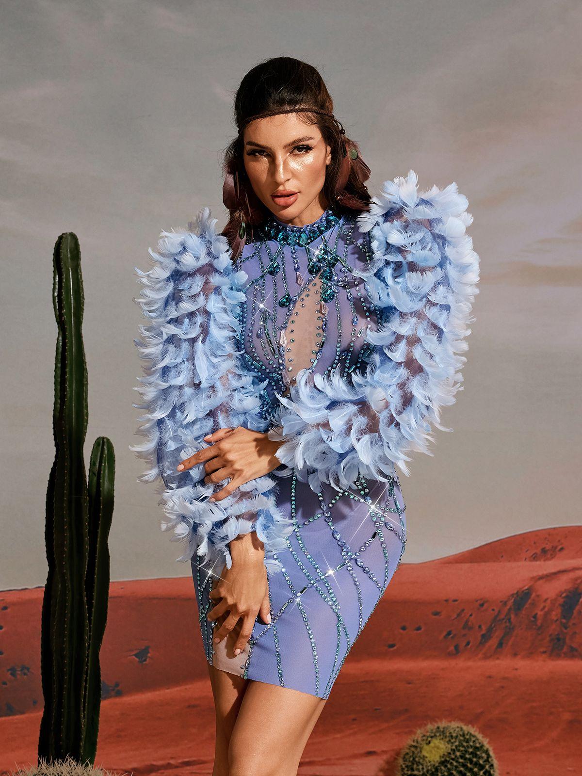 Long Sleeve Feather Embellished Mini Dress