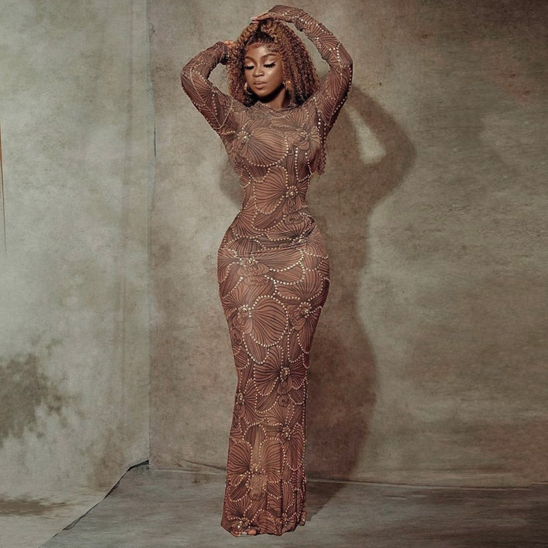 Club Bodycon See Through Long Dress