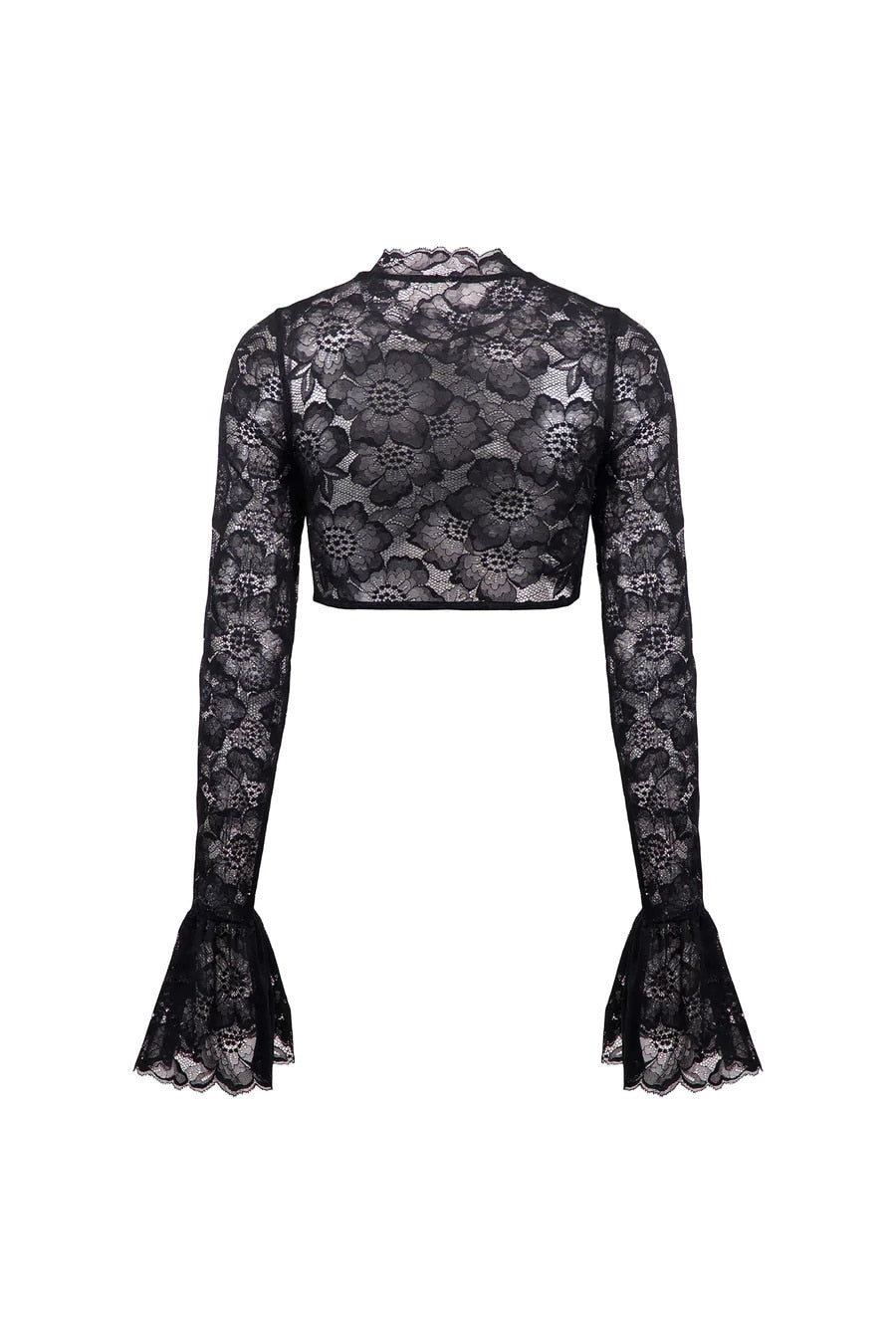 Long Sleeve Lace Charming Mesh Crop Top