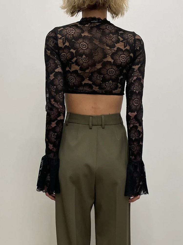 Long Sleeve Lace Charming Mesh Crop Top
