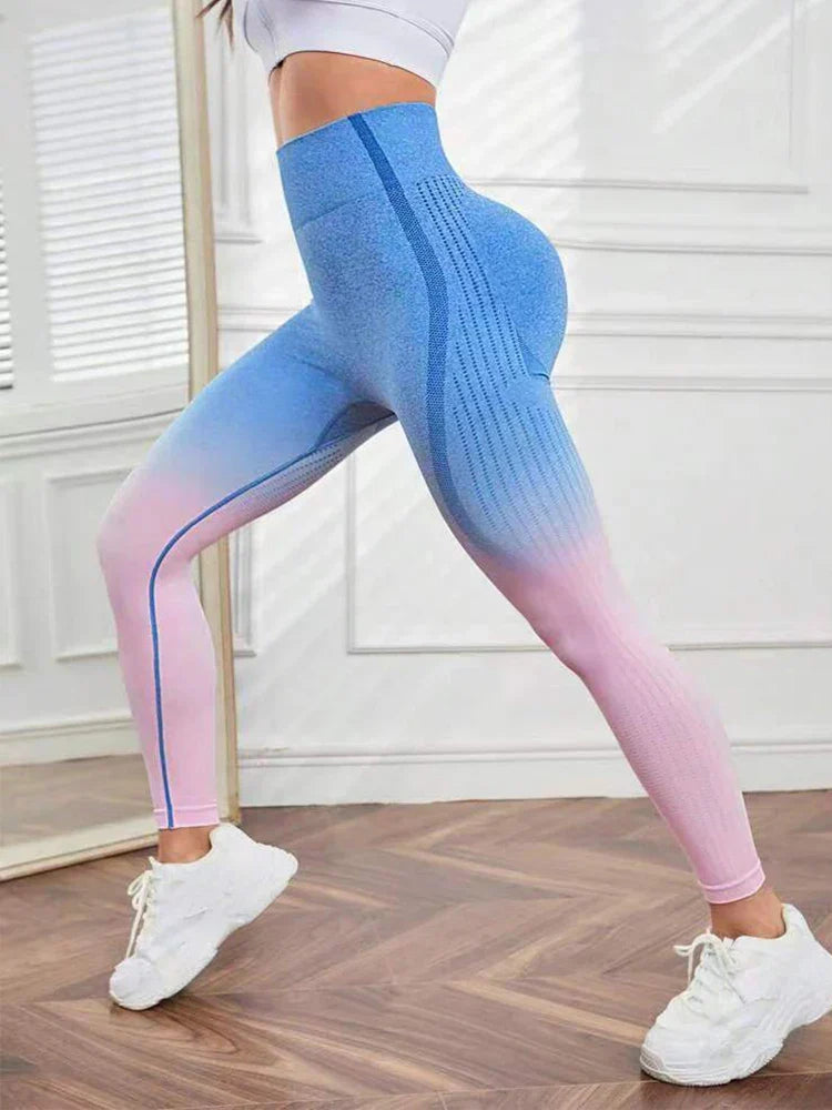 Gradient Seamless Gym Fitness Workout Yoga Legging Pink / S