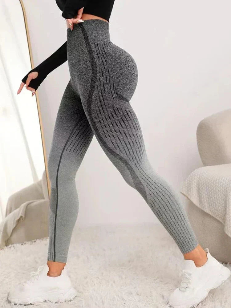 Gradient Seamless Gym Fitness Workout Yoga Legging Gray / S