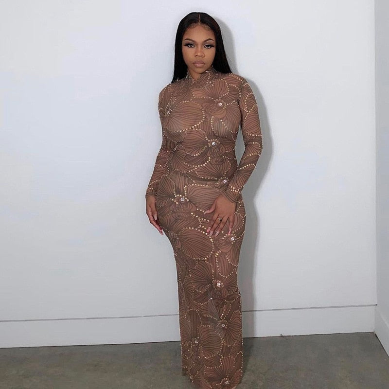 Club Bodycon See Through Long Dress