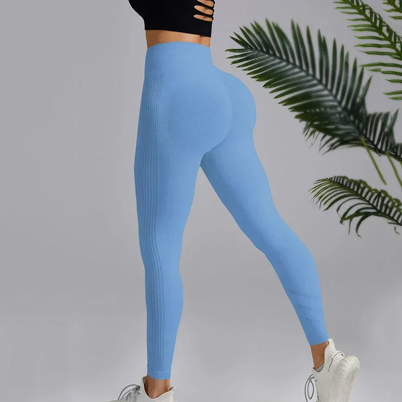 High Elastic Knitting Gym Workout Legging Blue / S