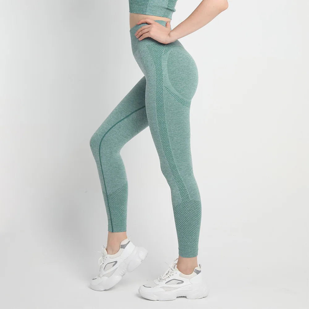 Seamless Workout Legging Dark Green / S