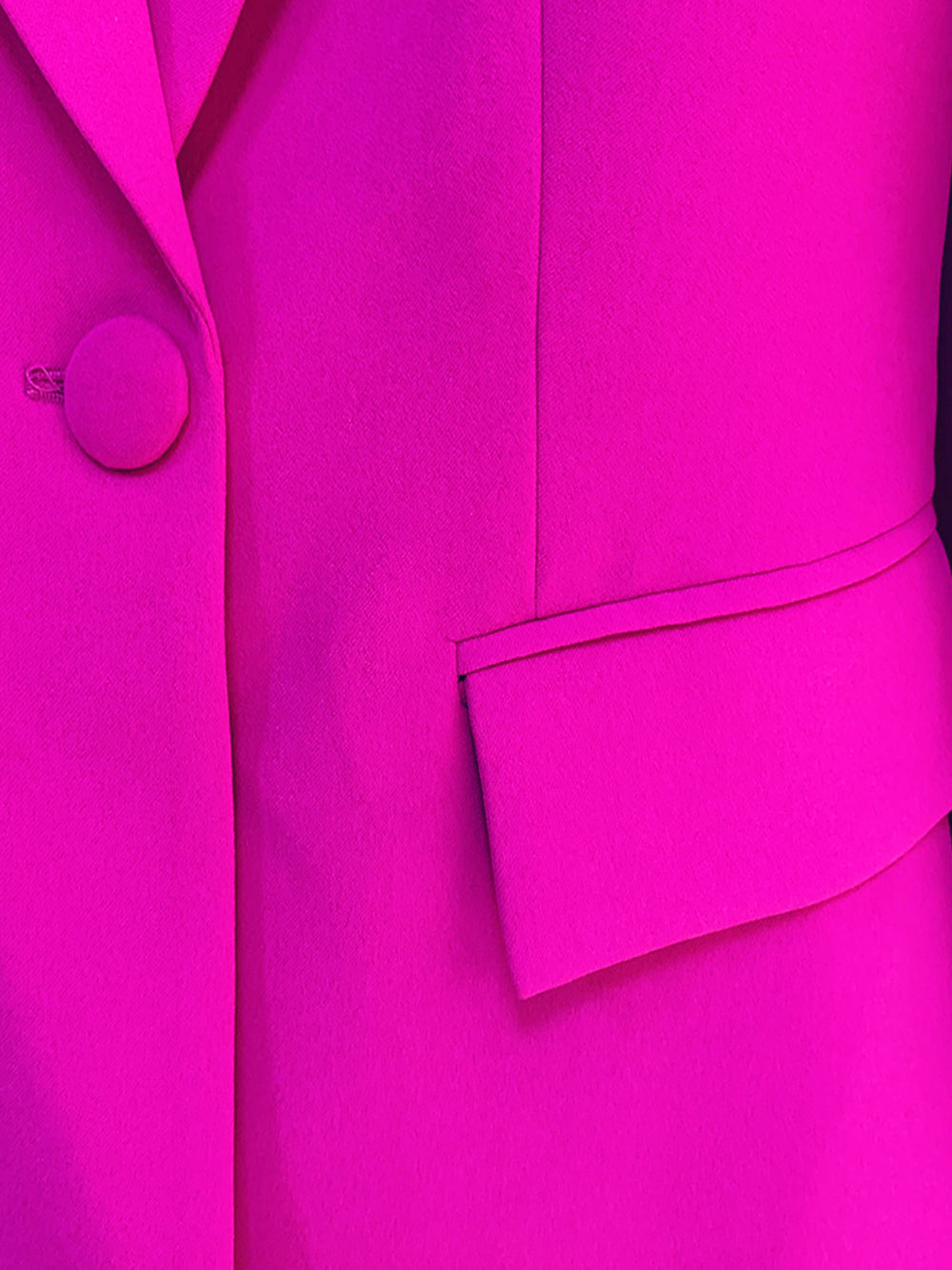 Fuchsia Peak Lapel Plunge Tailored Blazer and Flared Pants Set 10