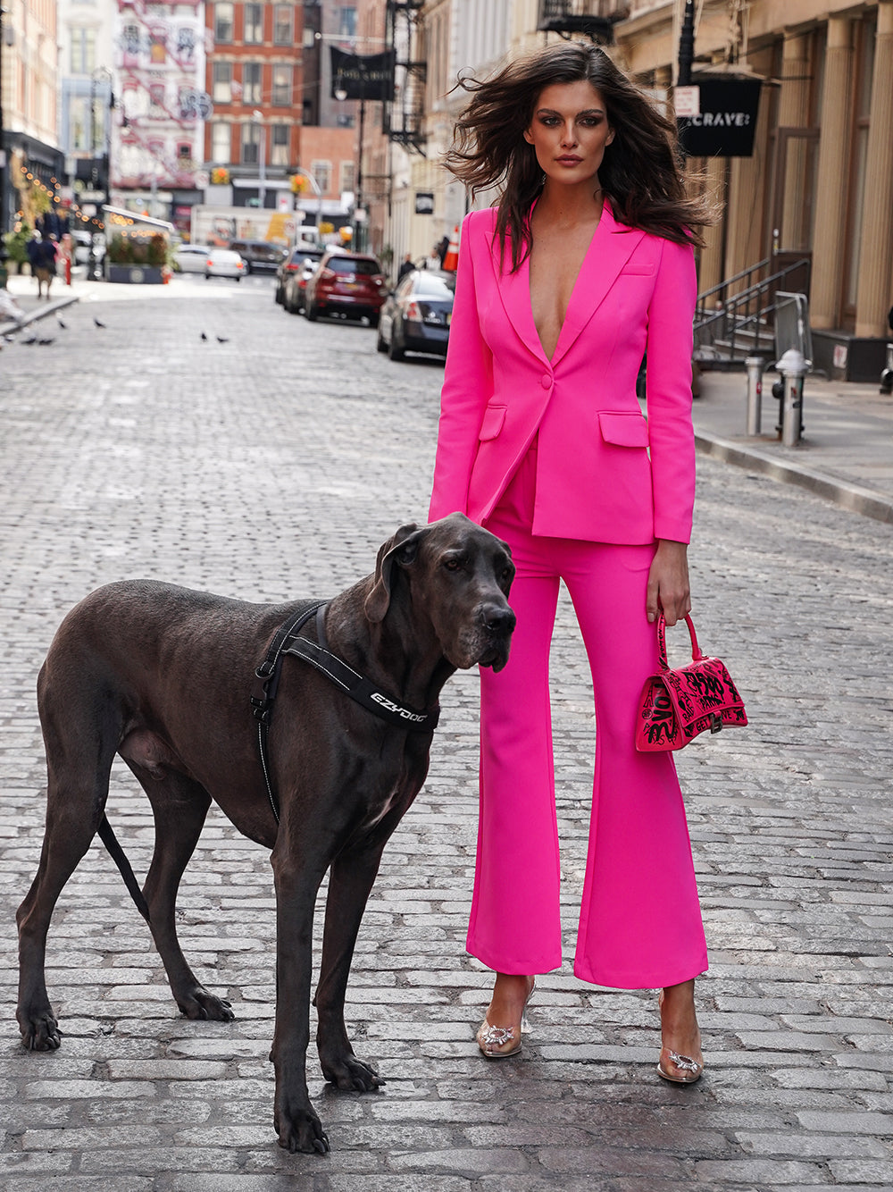 Fuchsia Peak Lapel Plunge Blazer and Flared Pants Set