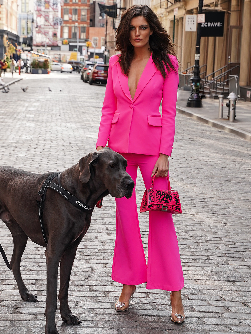 Fuchsia Peak Lapel Plunge Blazer and Flared Pants Set