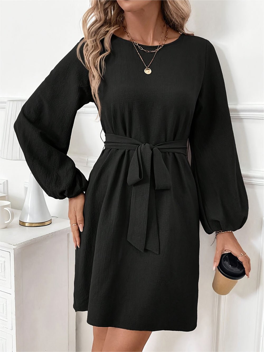 Alina Long Sleeve Mini Dress - Fashion Pov