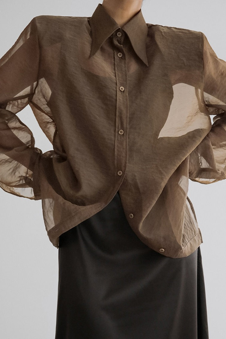 Mesh Sheer Long-Sleeve Loose Chic Blouse