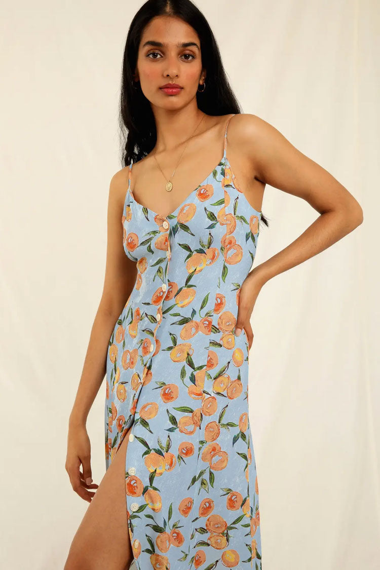 Blue Spaghetti Strap V-Neck Fruit Print Button Front Slip Midi Dress 2