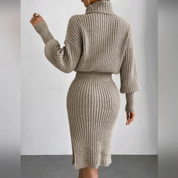 Linda Stylish Winter Turtleneck Dress with Contemporary Everyday Styling