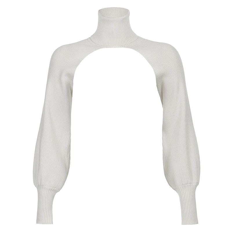 Beige Turtleneck Long Sleeve Cropped Knit Sweater