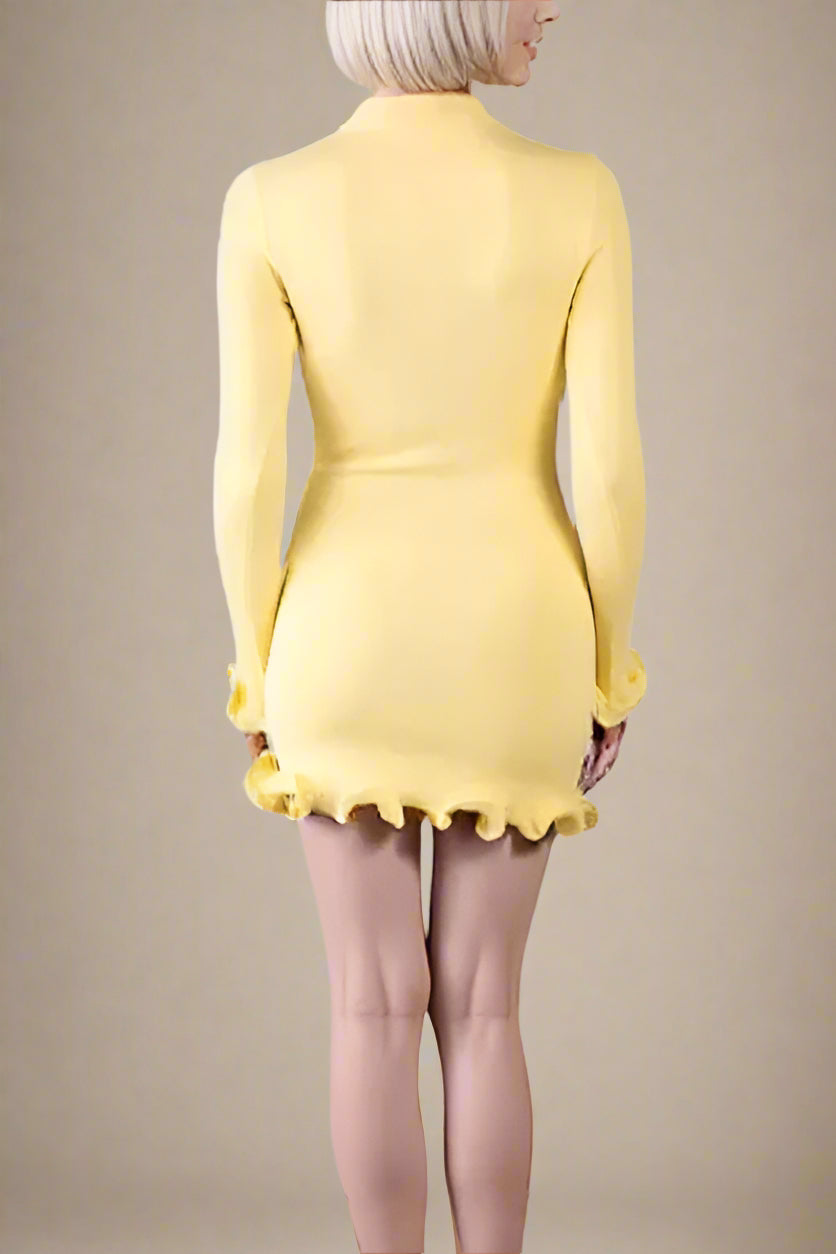 Regina Long Sleeve Mini Dress - Sun Yellow (Sale)