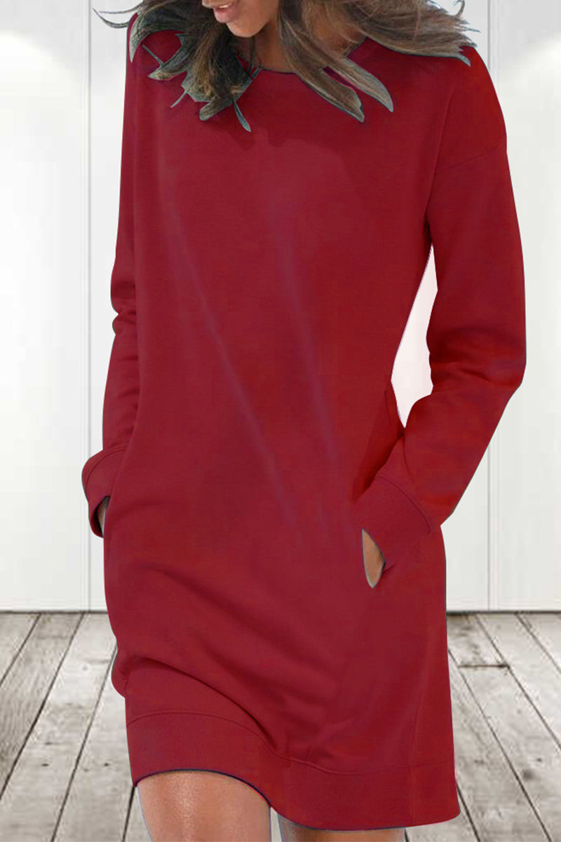 Eustacia Solid Color Long Sleeve Dress for Women Flattering Modern Fit