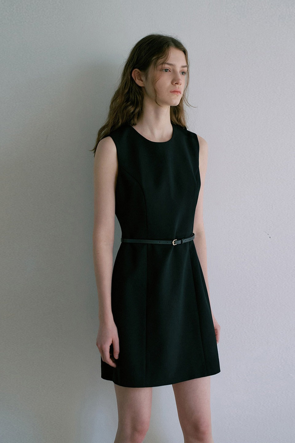 Sleeveless Cinched A Line Chic Work Dress