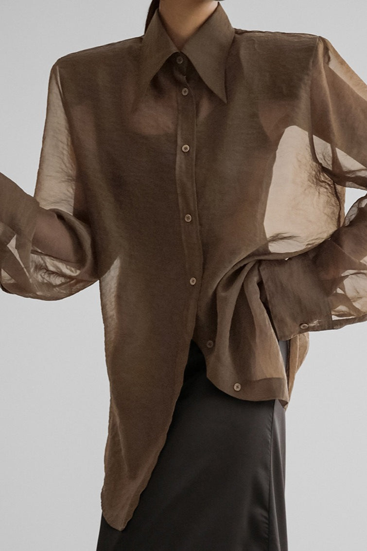 Mesh Sheer Long-Sleeve Loose Chic Blouse