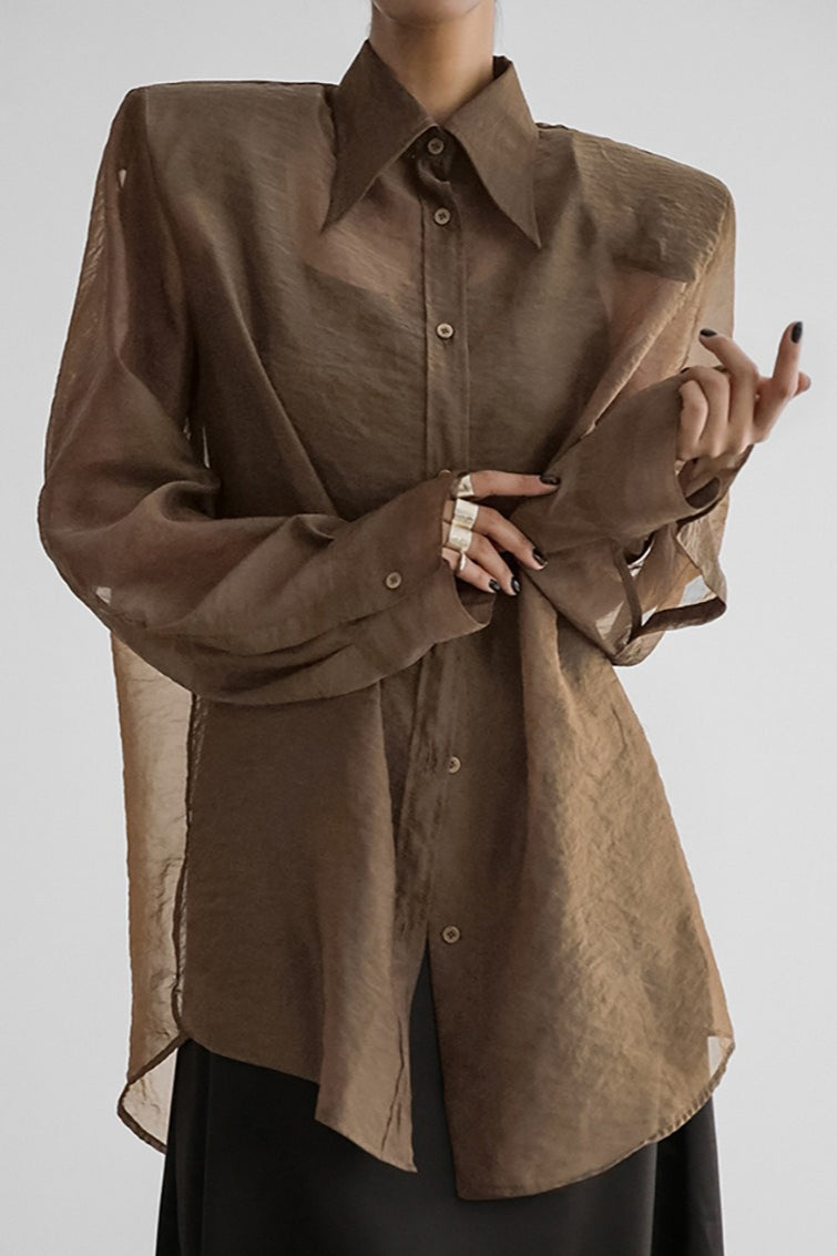 Mesh Sheer Long-Sleeve Loose Chic Blouse