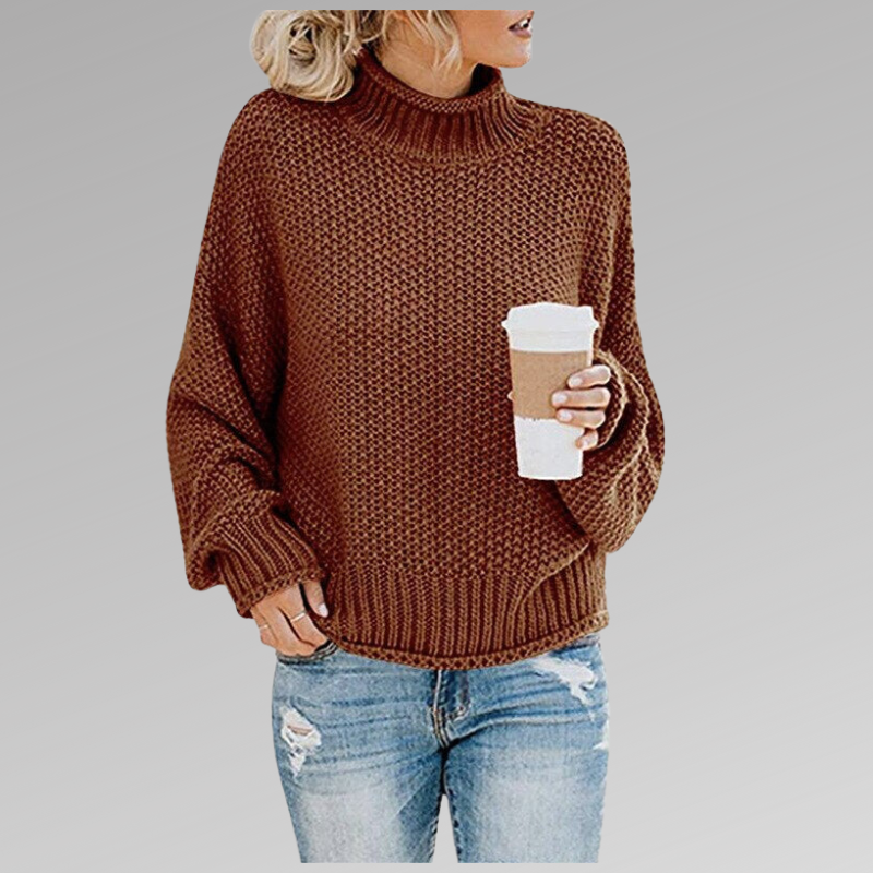 Turtleneck Chunky Knit Drop Shoulder Oversized Sweater