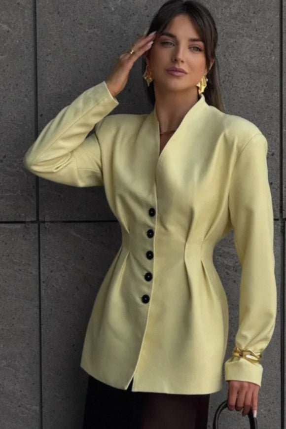 SingleBreasted VNeck Waist Defined Blazer