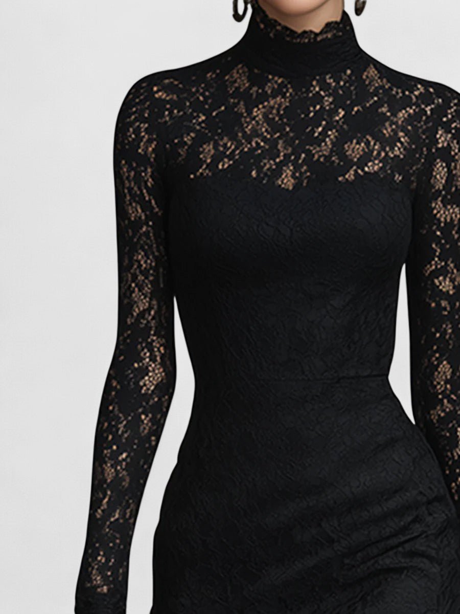 Black High Neck Lace Long Sleeve Sheer Fishtail Bodycon Maxi Dress