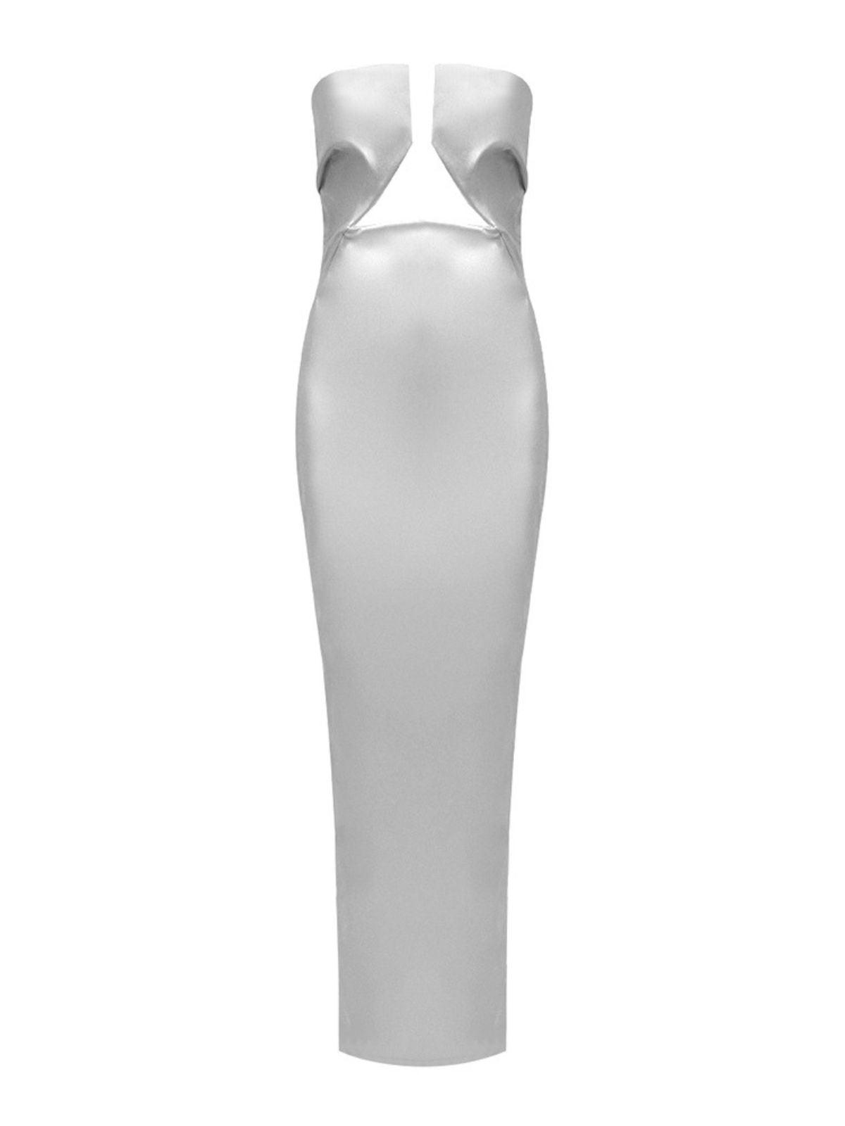 Emer Strapless Leather Maxi Dress In Silver