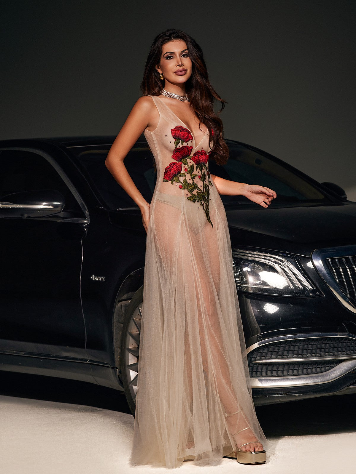 V Neck Flower Embroidered Mesh Dress