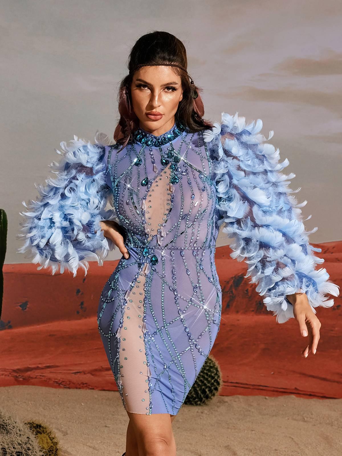 Long Sleeve Feather Embellished Mini Dress