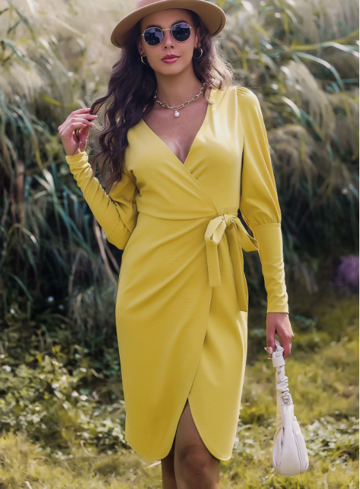 Floral A-Line Skirt Printed Dress With Long Sleeves