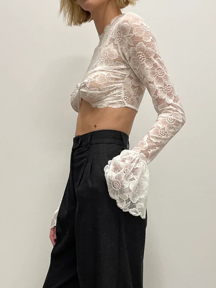 Long Sleeve Lace Charming Mesh Crop Top