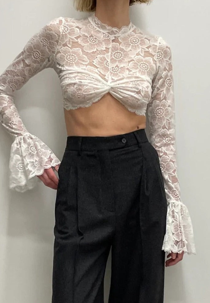 Long Sleeve Lace Mesh Crop Top Free From Label