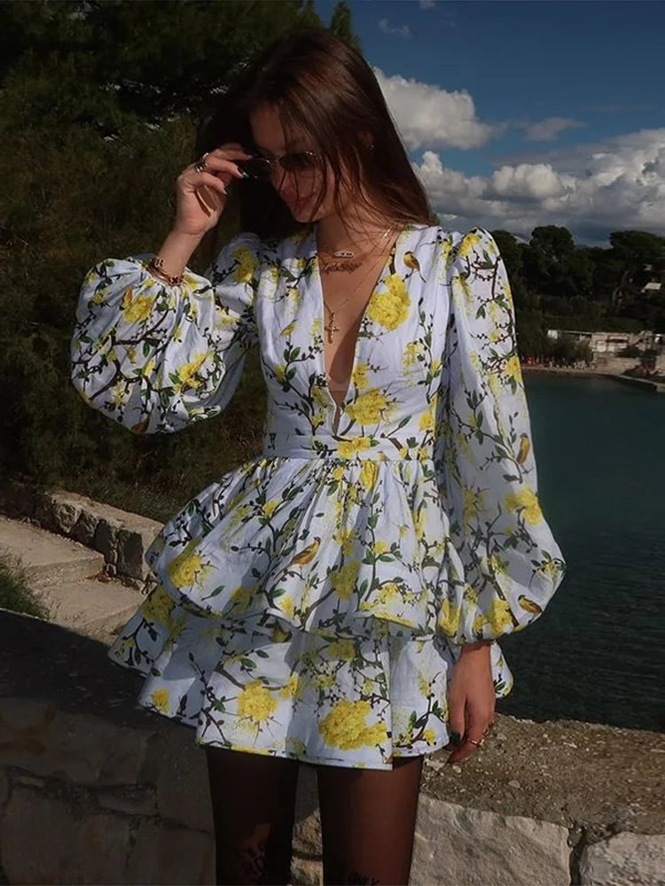 Print Ruffle Long Sleeve ALine Mini Dress