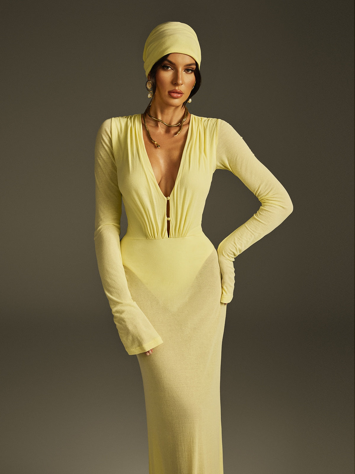 Plunge Neck Mesh Maxi Dress