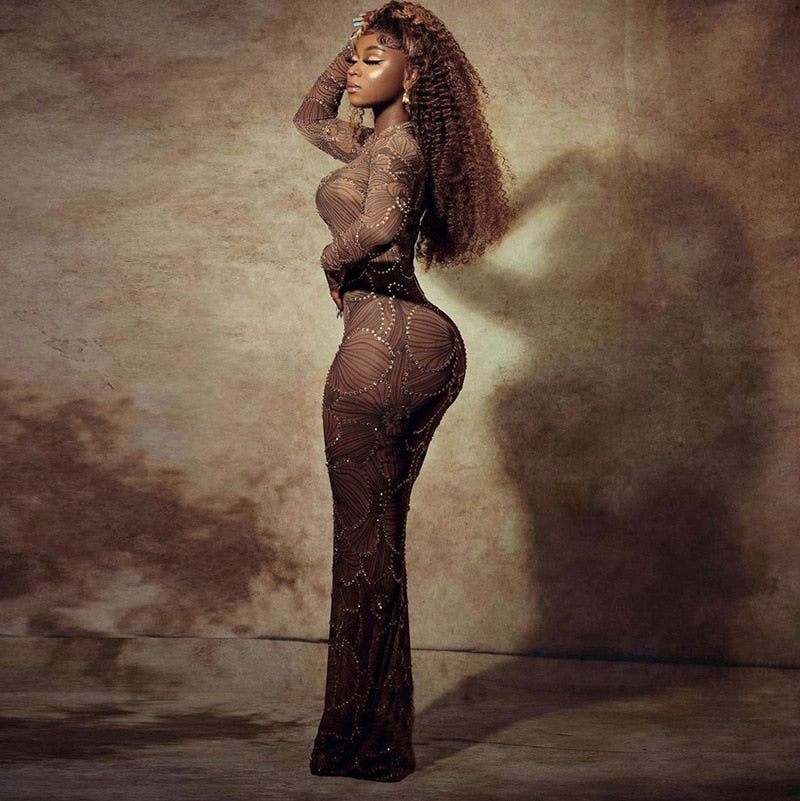 Club Bodycon See Through Long Dress