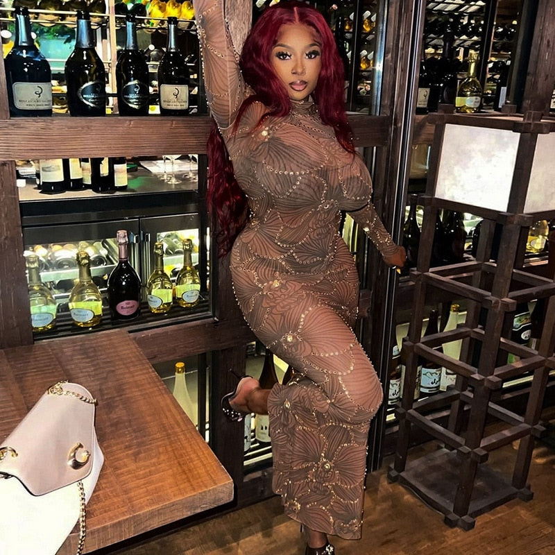 Club Bodycon See Through Long Dress